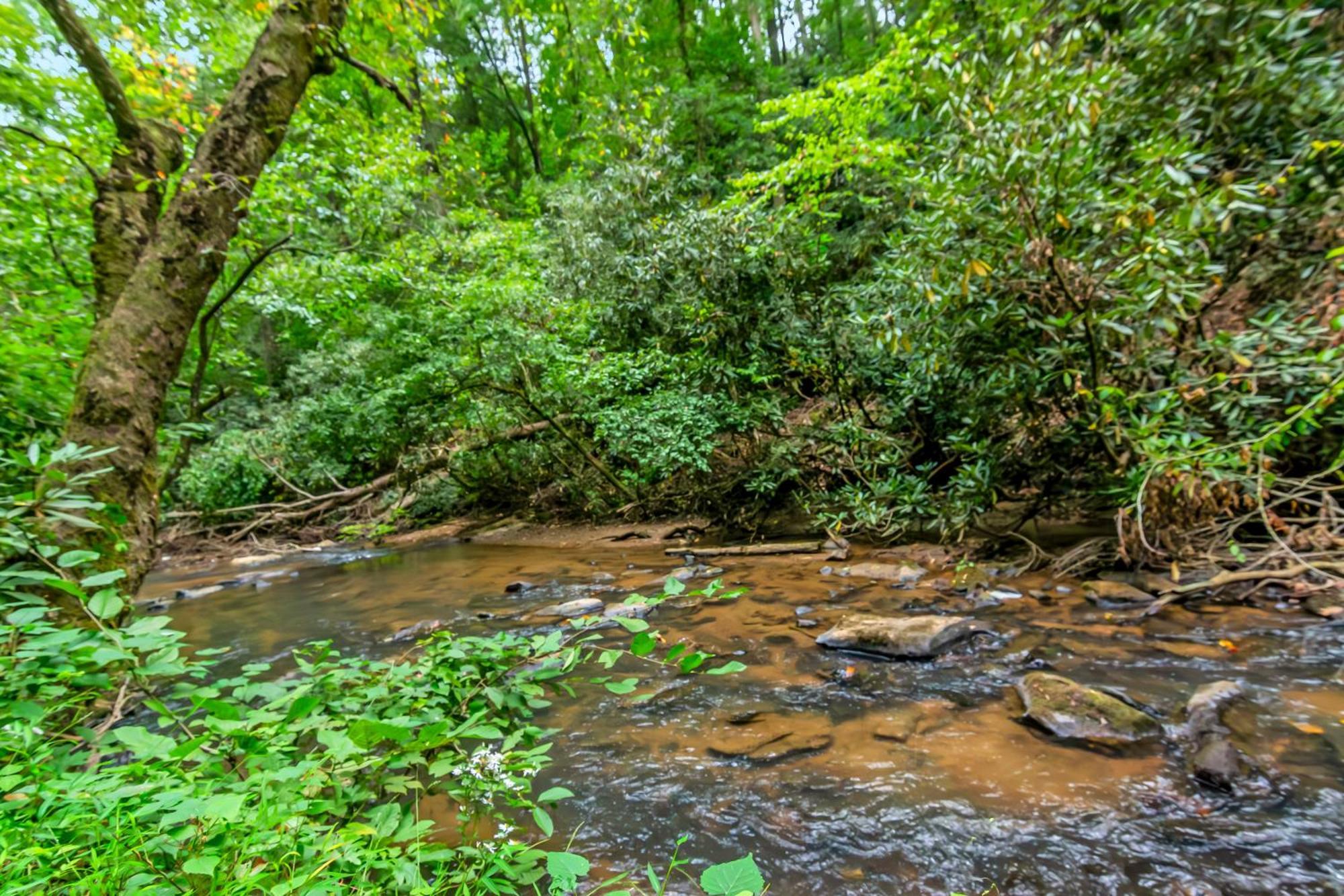 Amazing Creek View Cabin W/ Hot Tub, Firepit & Pool Table Ellijay Exterior foto