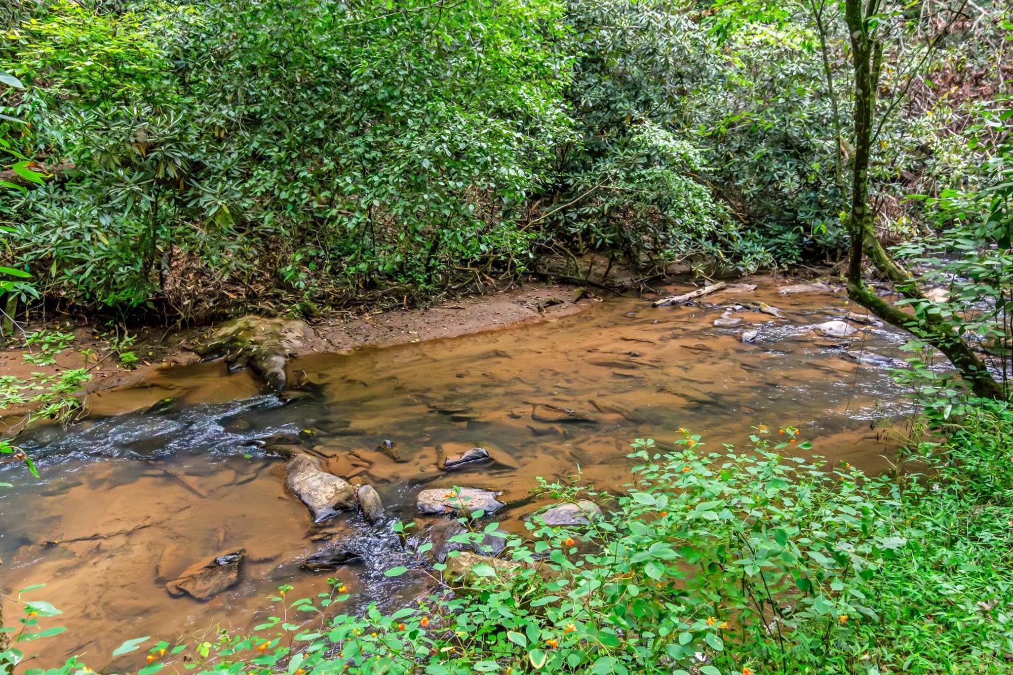 Amazing Creek View Cabin W/ Hot Tub, Firepit & Pool Table Ellijay Exterior foto